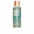 CEDAR BREEZE