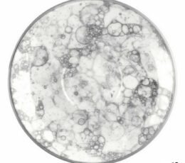 S2229125_0