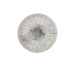 S2233883_1