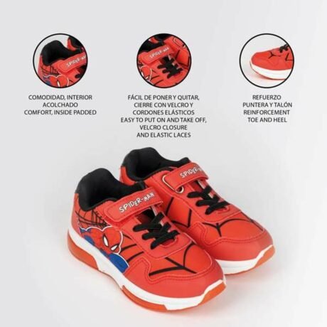 S2446498_2